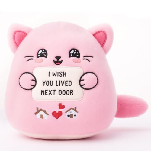 Friendship Plush Cat Stuffed Animal for Women Bestie Birthday Gift for Sister Girlfriend I Wish You Lived Next Door Plush Toy Pillow 9 Inch