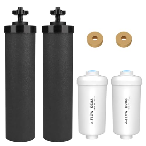 Water Filter Replacement for Berkey Gravity System - 2 Black Carbon & 2 Fluoride Filters