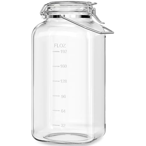 2 Gallon Glass Storage Jar with Airtight Lid & Stainless Steel Handle - Large Wide Mouth Container