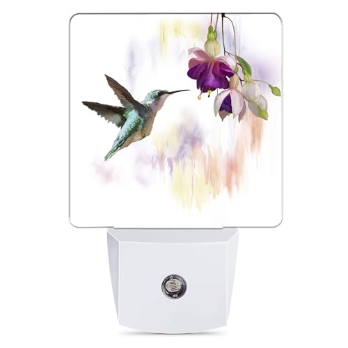 Groovy Hummingbird Flowers Dusk to Dawn Night Light, Auto Sensor Lamp Home Indoor Stairway Kitchen Corridor, Night Lights Plug into Wall Decor, Boys Girls Women Men Room Gifts