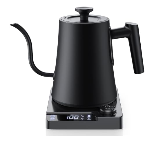 1.0L Gooseneck Electric Kettle with ±1°F Temp Control & Fast Heating