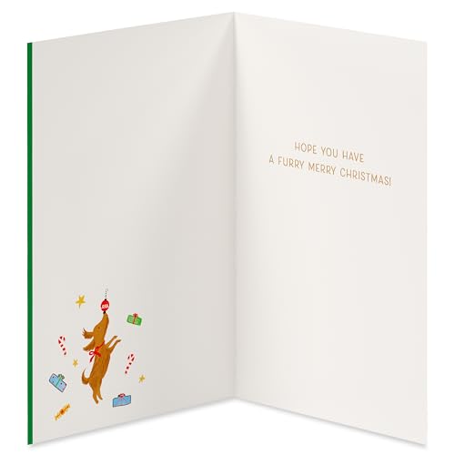 American Greetings Merry Christmas Card from the Dog (Furry Christmas)