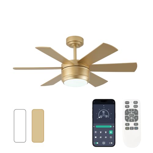 SHOWDI Gold Ceiling Fan with Lights and Remote - 42 Inch, 6-Blade, Quiet Reversible