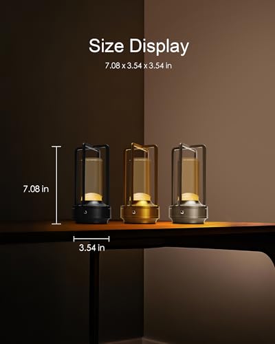 Jinchangming Gold-2 Set of 2 Rechargeable Cordless LED Table Lamps Touch Dimmable