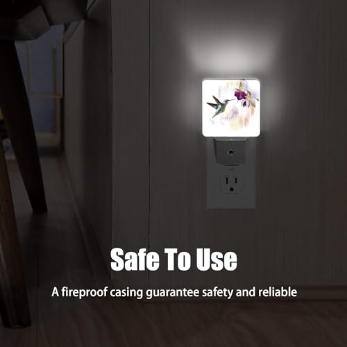 Groovy Hummingbird Flowers Dusk to Dawn Night Light, Auto Sensor Lamp Home Indoor Stairway Kitchen Corridor, Night Lights Plug into Wall Decor, Boys Girls Women Men Room Gifts