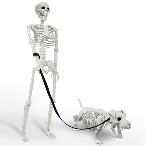 White Human Skeleton & Dog Halloween Decorations Outdoor Indoor - Posable & Weather-Resistant