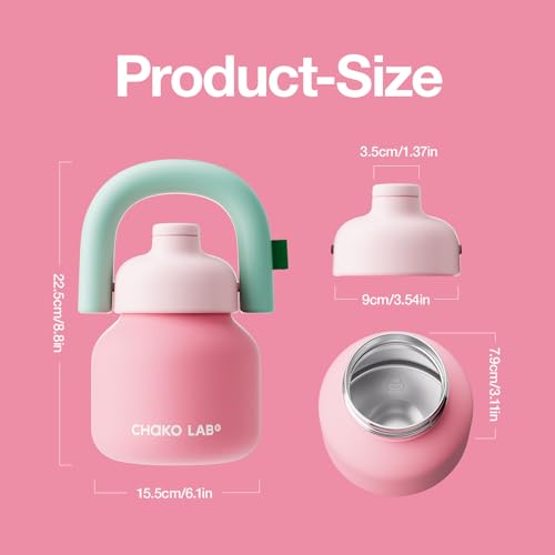 Pink & Red 33oz Insulated Water Bottle with Straw & Handle, Leakproof Flask