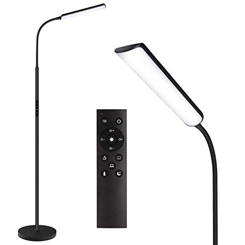 Dimunt Black LED Floor Lamp with Stepless Dimming & Color Temp Adjustment