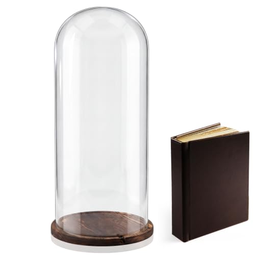 22'' x 8.66'' Glass Dome Cloche Display with Dark Wood Base – Tall Clear Cover for Decor & Collection