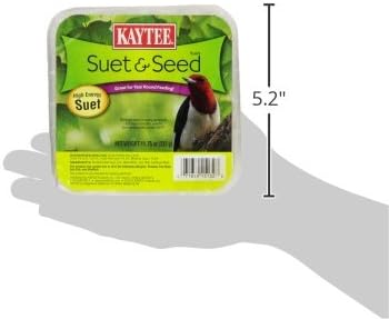 Kaytee High Energy Suet - 11.75 Ounces of Nutritious Bird Food for Wild Birds