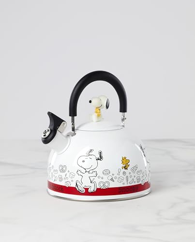 Enamelware Tea Kettle with Snoopy & Woodstock - 84.5oz, Whimsical Kitchen Decor - Tea Kettle Variation