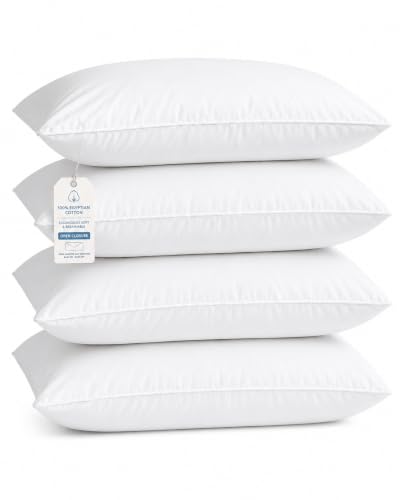 Queen Pillowcase Set of 4 - 1000 TC Egyptian Cotton Ultra Soft Cooling Bedding - White, Variation: White / 4 Pc Standard