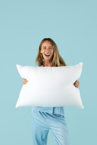EverSnug Adjustable Layer Luxury Pillow Set - Standard/Queen, Cooling, Down Alternative