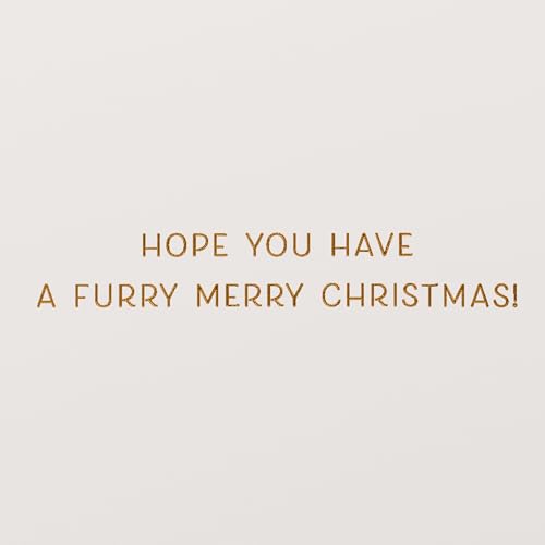 American Greetings Merry Christmas Card from the Dog (Furry Christmas)