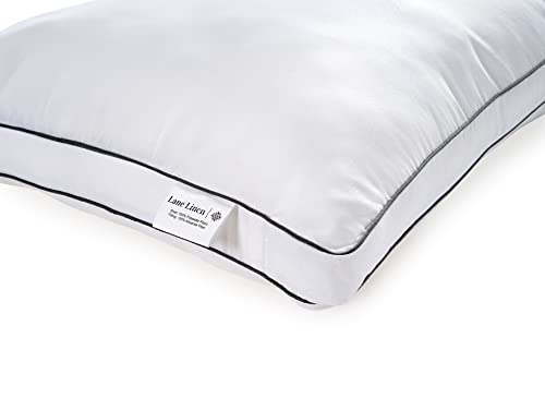 LANE LINEN Standard Size Bed Pillows for Sleeping, Set of 4, 20x26 -