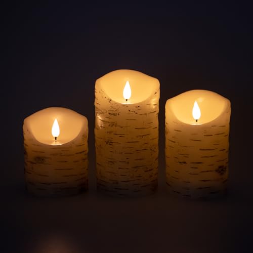 Birch Flameless LED Candles Set of 3 with Remote & 4/8H Timer, 4"/5"/6" Heights - Battery Operated