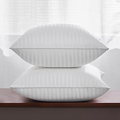 White 20x20 Inch Pillow Inserts Set of 2 - Soft Durable Cotton Support