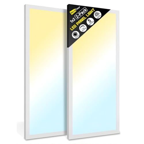 White 1Ft x 2Ft LED Flat Panel Light 24W 2880LM Dimmable Surface Mount 2-Pack