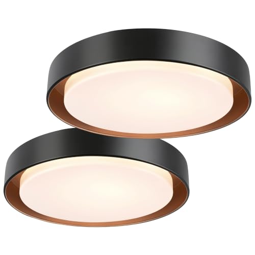 Matte Black 2-Pack Flush Mount LED Ceiling Lights - Dimmable 13in 3000K Daylight, Energy-Efficient Modern Lamp