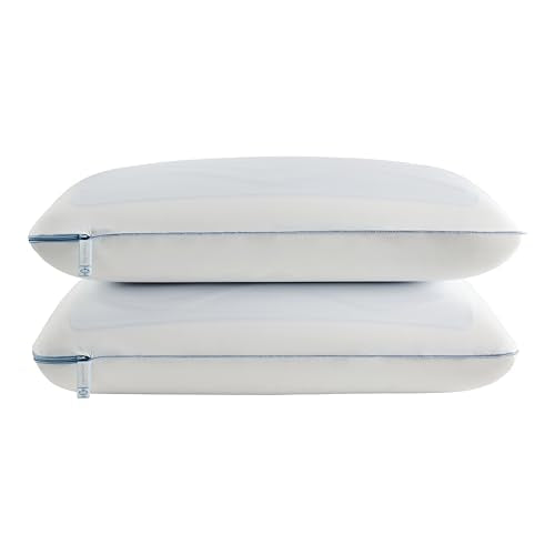 Dreamlife 2-Pack Memory Foam Cooling Pillows - Standard Size with Gel Layer, Removable Washable Cover