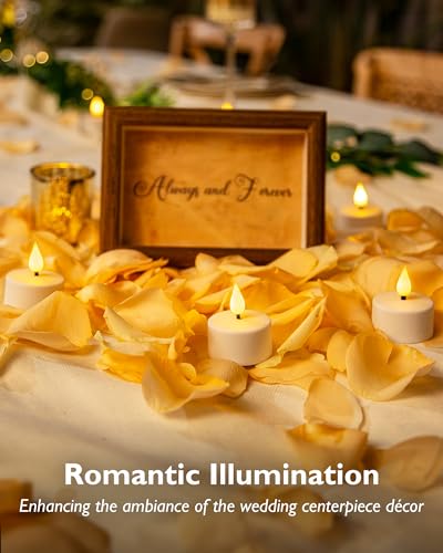 Rechargeable Tea Light Candles with Remote & Timer - Warm White, 12 Pack