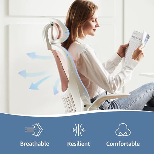 DUMOS Ergonomic Office Chair, Desk Computer Lumbar Support