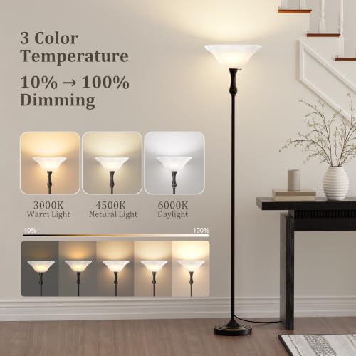 Dimmable LED Floor Lamp with Glass Shade - Modern Torchiere Lighting