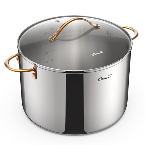 12 Quart Stock Pot with Lid - Tri-Ply Stainless Steel Large Cooking Pot