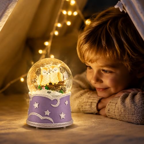 Mr.Winder Owl Snow Globe Music Box with Color Lights - Musical Decor Gift