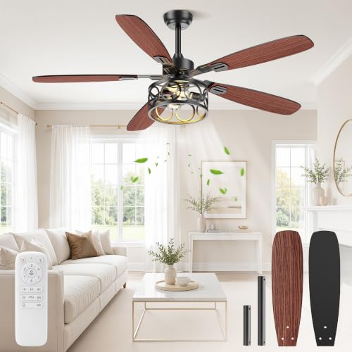 BLNAN 52 Inch Farmhouse Ceiling Fan with Lights & Remote, Dual-Color Blades, Quiet 6-Speed Reversible Fan for Living Room & Kitchen