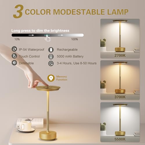 ZTFLOS Gold 2-Pack Rechargeable Cordless LED Table Lamps, Portable Battery Lights
