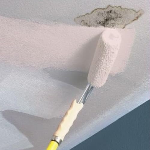 Stainblocking Interior Ceiling Paint - White, 1 Gallon