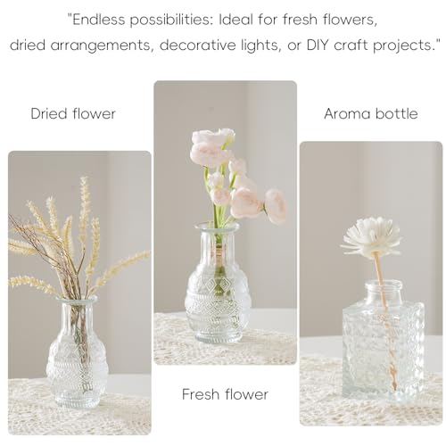 ODCYWM Clear Glass Bud Vases Set of 64 - Small Vintage Flower Centerpieces