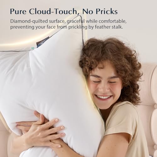 Pacific Coast Premium Goose Feather & Down Bed Pillow - Standard Size, Hotel Quality, Medium-Firm, 1-Pack (Variation: Standard)