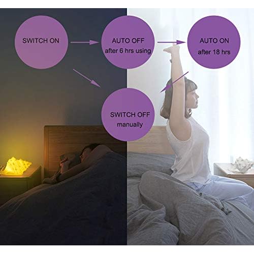 GREENIC Portable Conch Shell Beach Themed Night Light w Timer for Kids Adults Bedroom Nightstand Lamp Nautical Lighting Battery Operated, Warm White