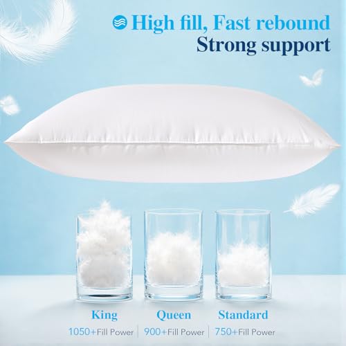 King White Goose Down Pillow 1050 Fill Power Plush Support - Variation: White / King / 1
