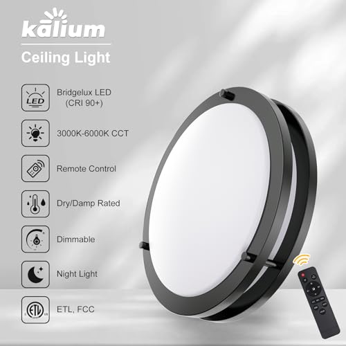 16 Inch Black 2-Pack LED Ceiling Light with Remote, Dimmable Flush Mount Fixture, Adjustable Color Temperature