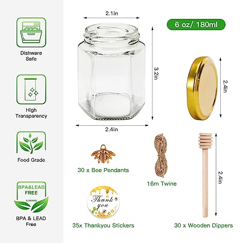 6 oz Honey Jars with Gold Lids & Wooden Dippers - 30 Pack, Hexagon Glass