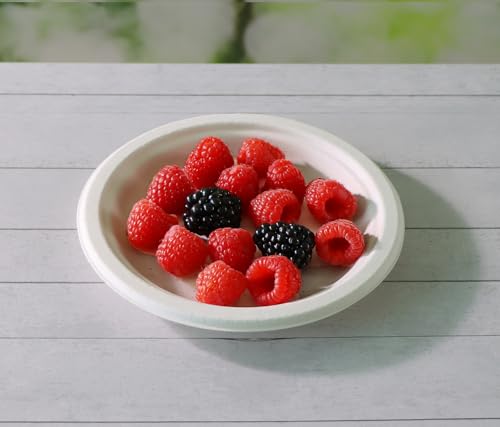 Heavy Duty Compostable Paper Plates 6 Inch Biodegradable Bagasse & Bamboo - 500 Count