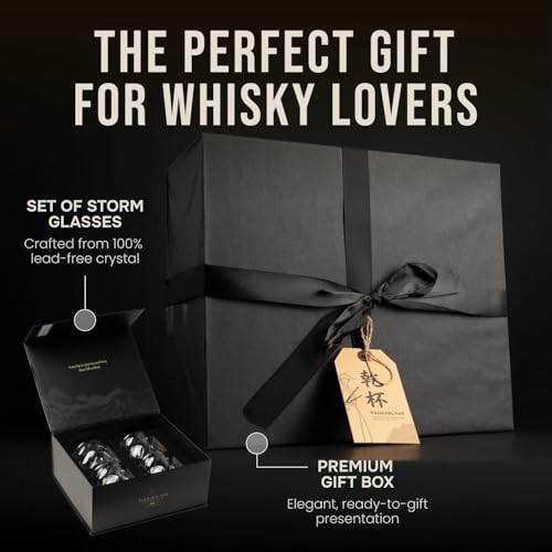 Storm Crystal Cocktail Whiskey Glasses Set of 2 - Elegant Gift for Men