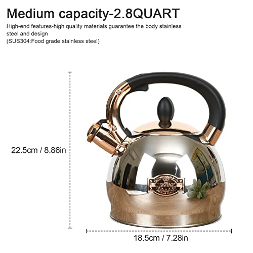 3 Quart Stainless Steel Whistling Tea Kettle with Metal Bottom - Silver