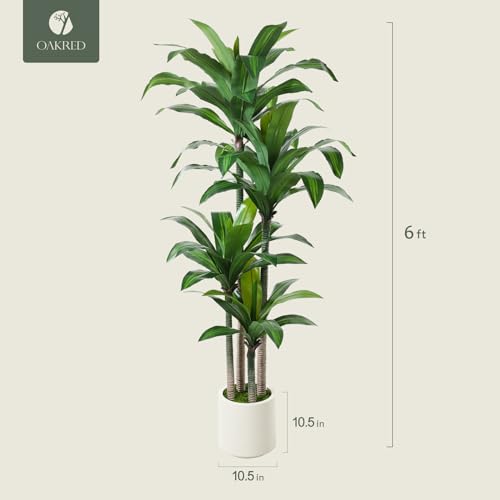 OAKRED 6ft Artificial Dracaena Tree with White Planter – Realistic Faux Indoor Plant for Home & Office Decor