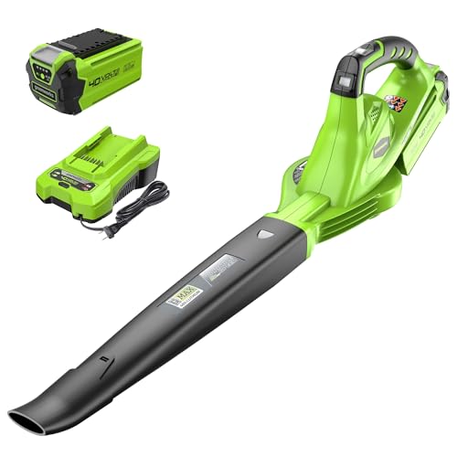 Cordless Leaf Blower Sweeper 40V with 2.0Ah Battery & Charger - Variable Speed