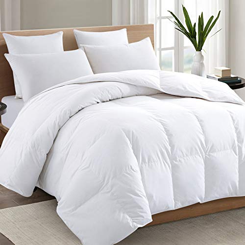 TEXARTIST White Queen Comforter, All Season Down Alternative Duvet