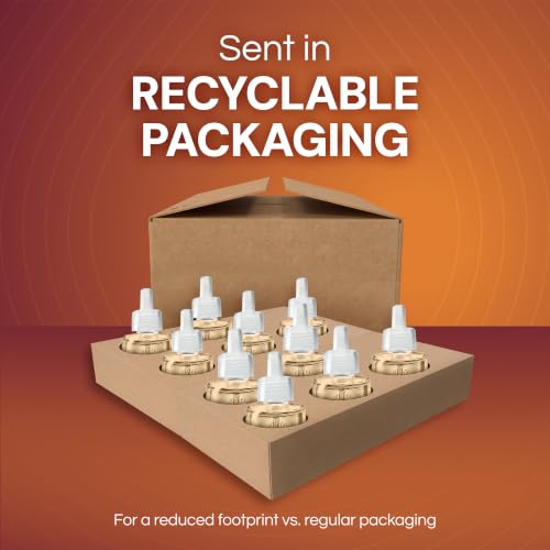 Air Wick Plug-In Refills - Caribbean Sweet Grass & Sandalwood, Essential Oil, 10 Count