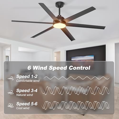 Phylluz 65 Inch Black Ceiling Fan with Lights Remote & App Control - Indoor & Covered Outdoor Patio, Dimming, 6-Speed