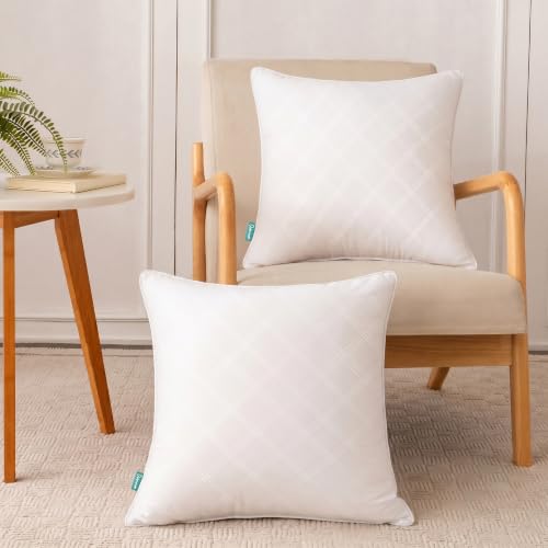 20x20 Inch Throw Pillow Inserts Set of 4 - Soft Square Cushion Inner