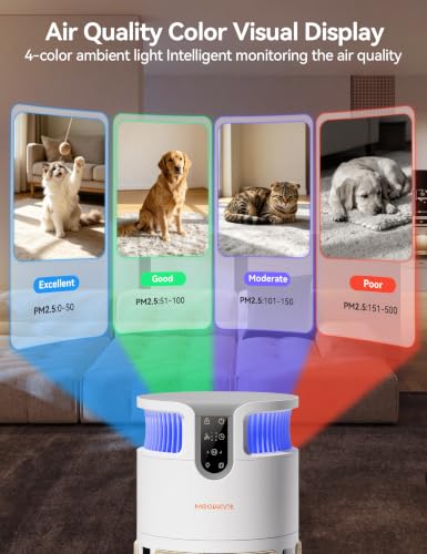 Large Room Air Purifier with HEPA Filter for Pet Hair Odor Removal - 3900 sq ft
