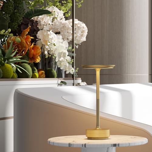 ZTFLOS Gold 2-Pack Rechargeable Cordless LED Table Lamps, Portable Battery Lights