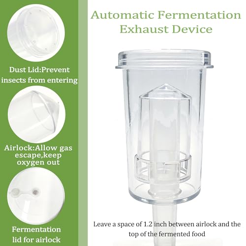 Amzcku 2 Pack 1 Gallon Large Fermentation Vintage Jars with Lids - Wide Mouth Glass Jar- Pickle Jars for Sauerkraut, Sourdough Starter